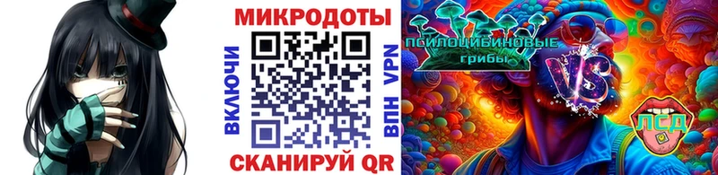 Псилоцибиновые грибы Psilocybe  hydra зеркало  Нерехта 